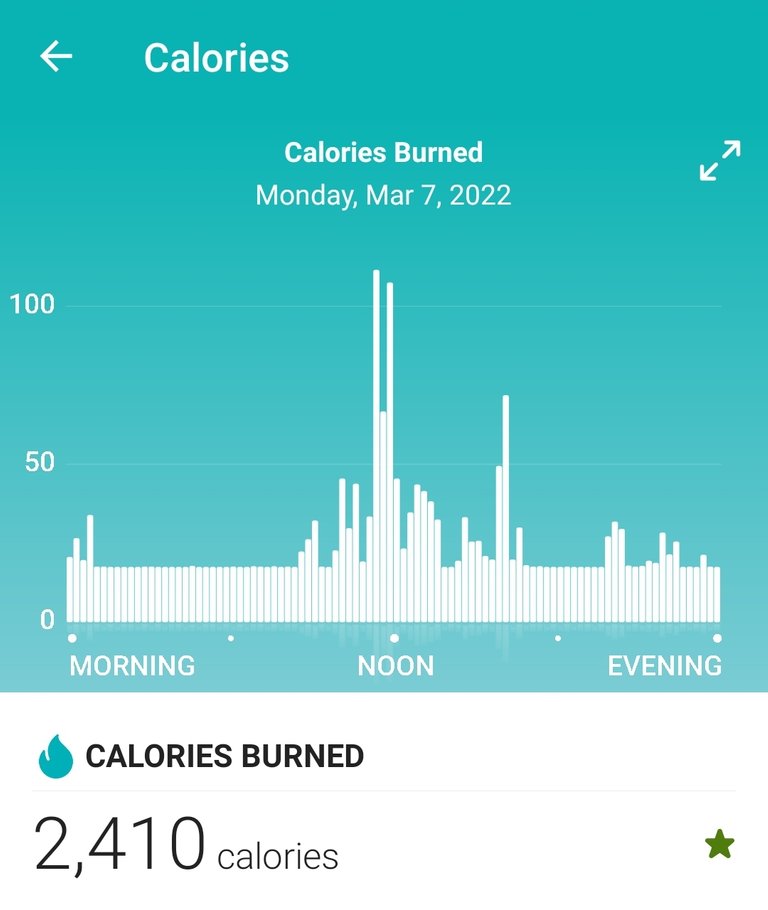 Screenshot_20220308-102839_Fitbit.jpg