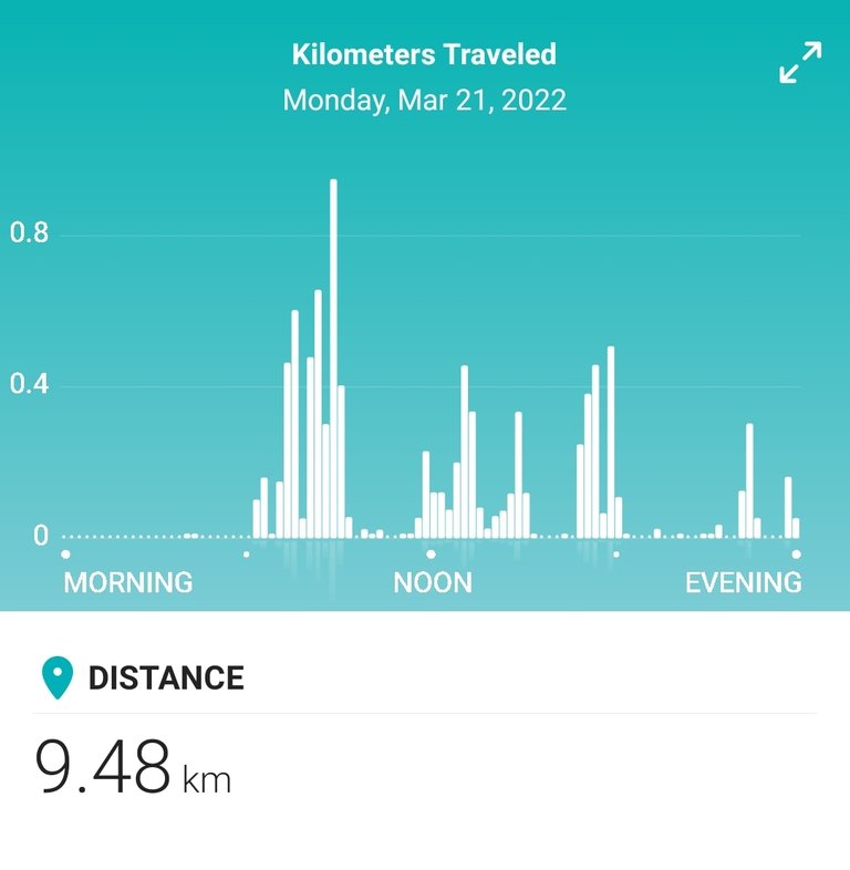 Screenshot_20220322-172320_Fitbit.jpg