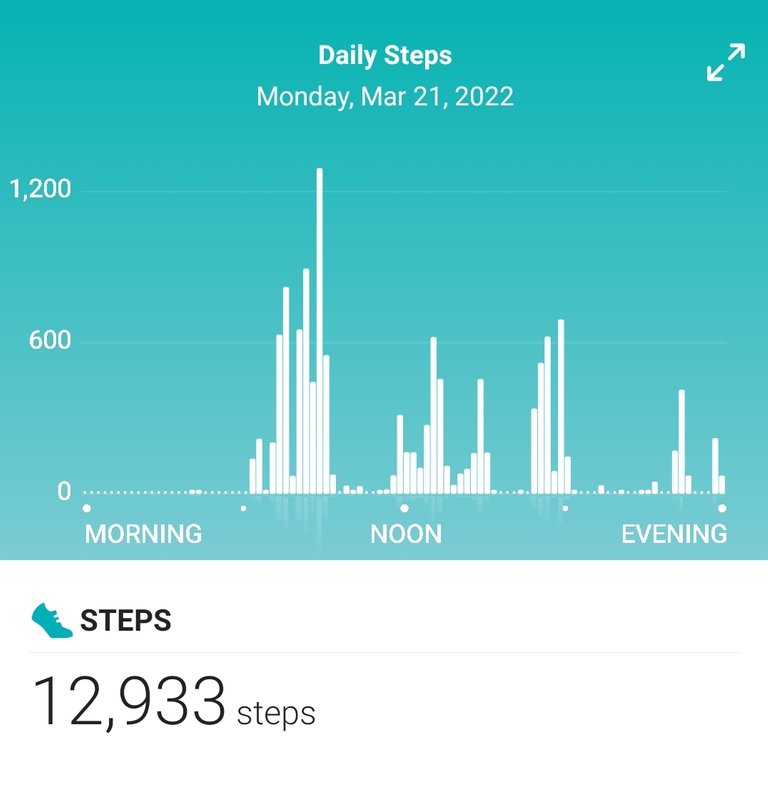 Screenshot_20220322-172213_Fitbit.jpg