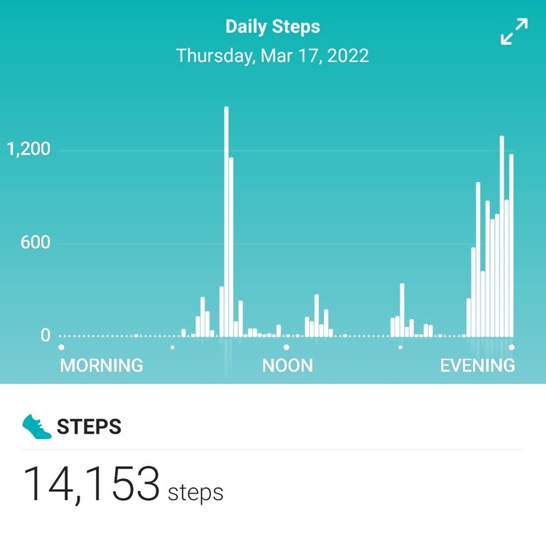 Screenshot_20220318-204600_Fitbit.jpg