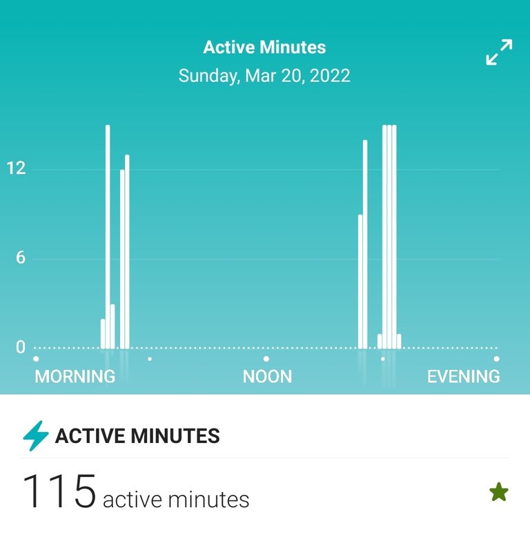 Screenshot_20220321-160054_Fitbit.jpg