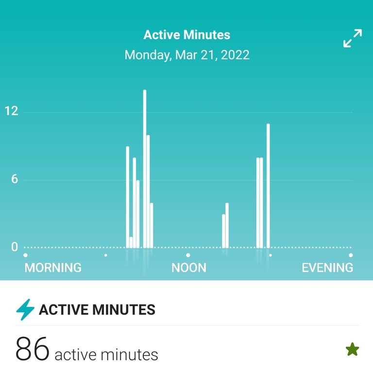 Screenshot_20220322-172146_Fitbit.jpg