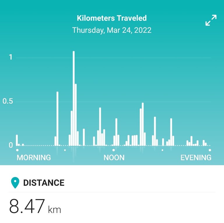 Screenshot_20220325-232735_Fitbit.jpg