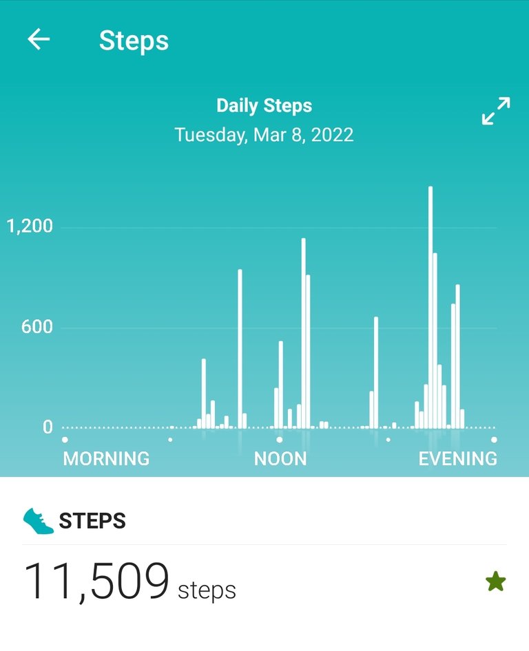 Daily Steps