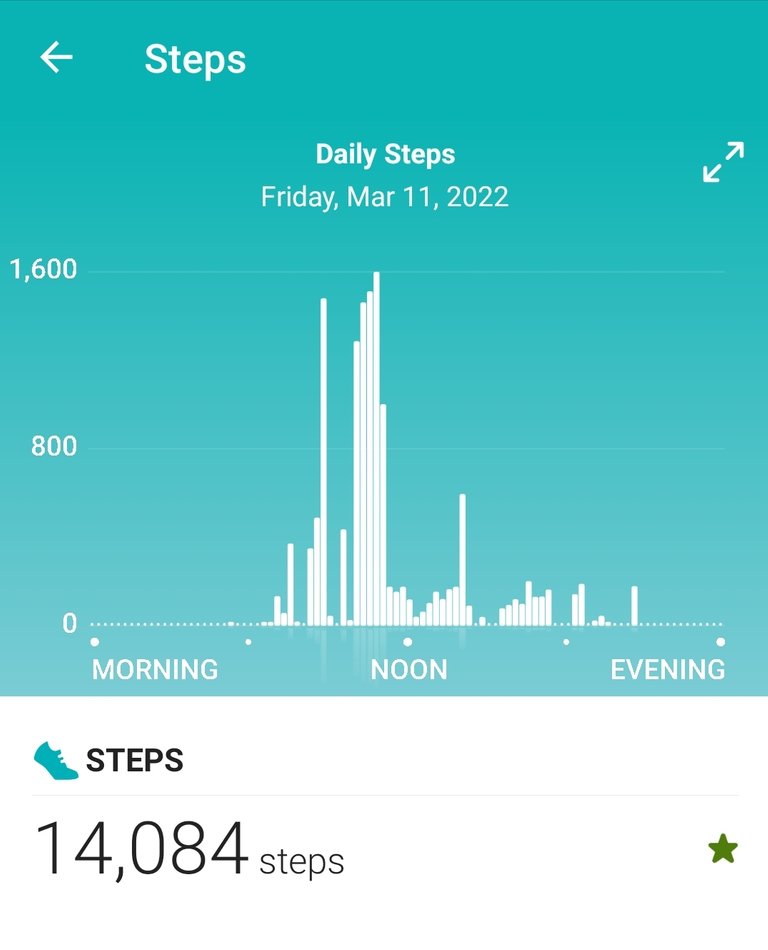 Screenshot_20220312-203802_Fitbit.jpg