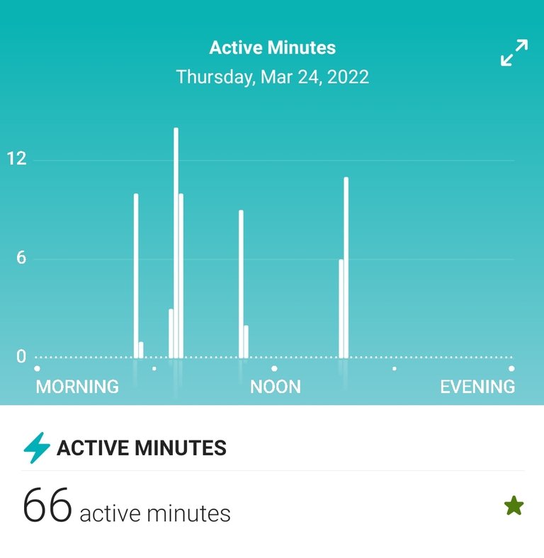 Screenshot_20220325-232549_Fitbit.jpg