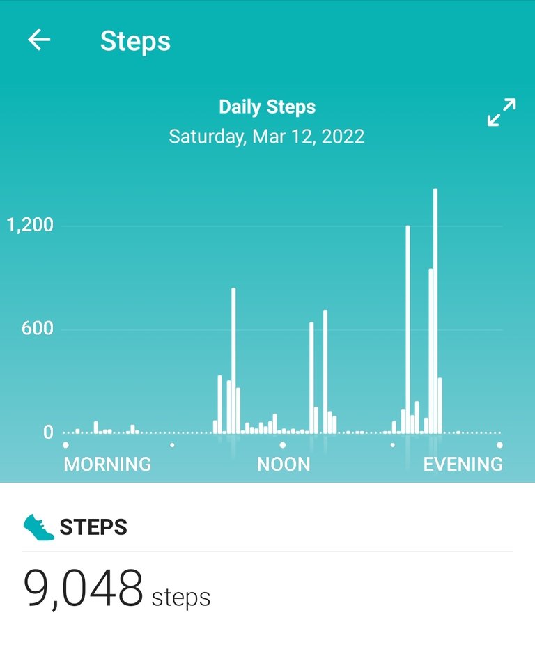 Screenshot_20220313-150257_Fitbit.jpg