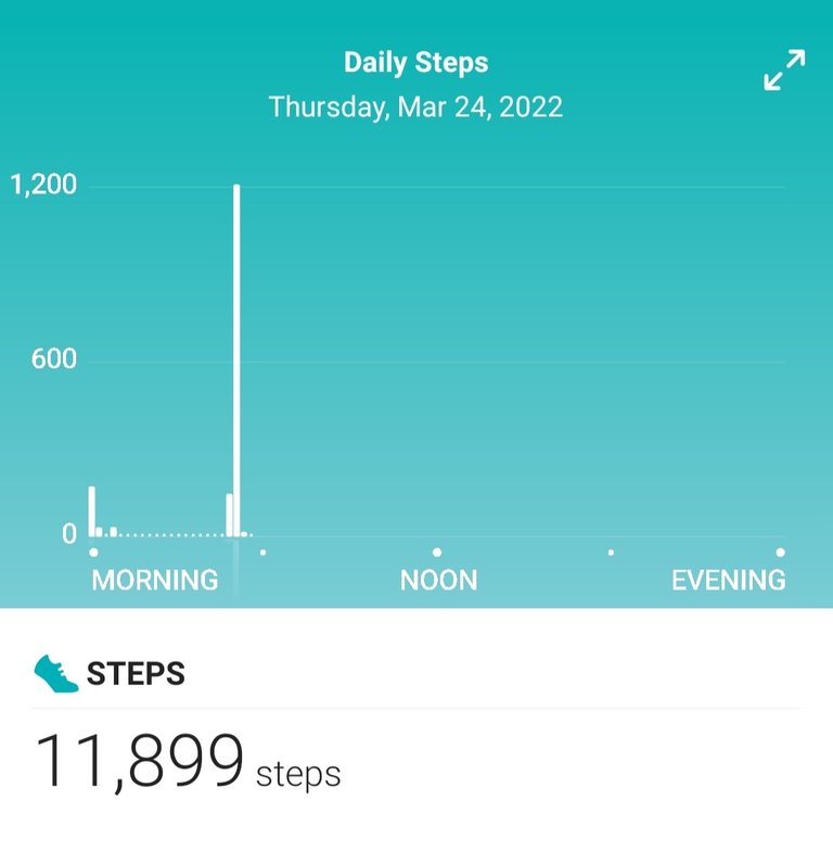 Screenshot_20220325-232618_Fitbit.jpg