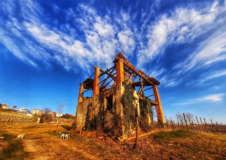 Hillside ruin 🇮🇹 Rudere in collina