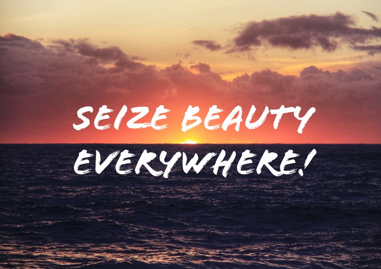 Seize beauty everywhere! 