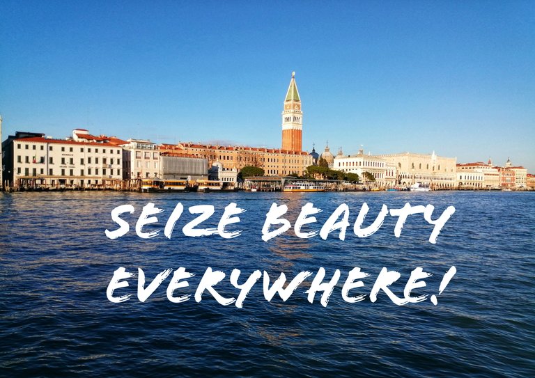 Seize Beauty Everywhere!