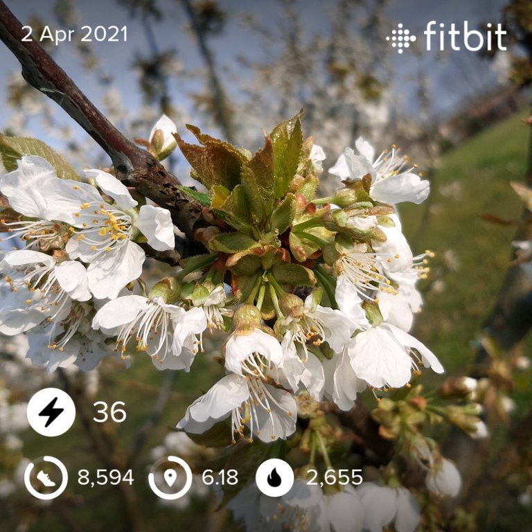 fitbitshare_394579663.JPEG