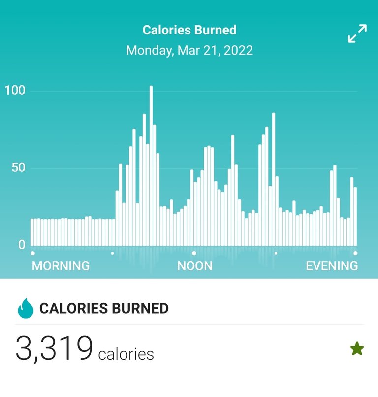 Screenshot_20220322-172353_Fitbit.jpg