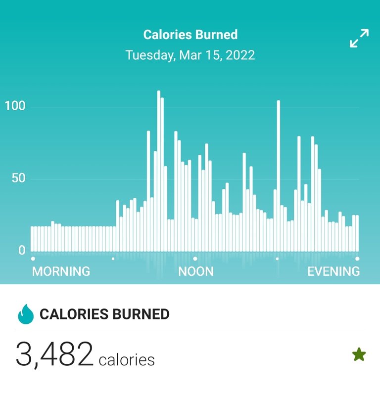 Screenshot_20220316-211057_Fitbit.jpg