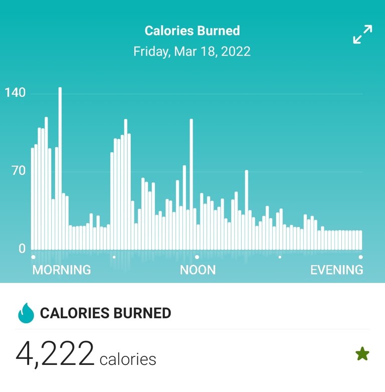 Screenshot_20220319-095105_Fitbit.jpg