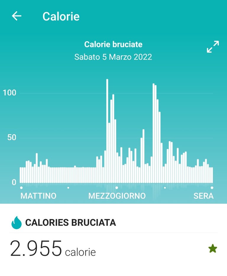 Screenshot_20220306-200442_Fitbit.jpg