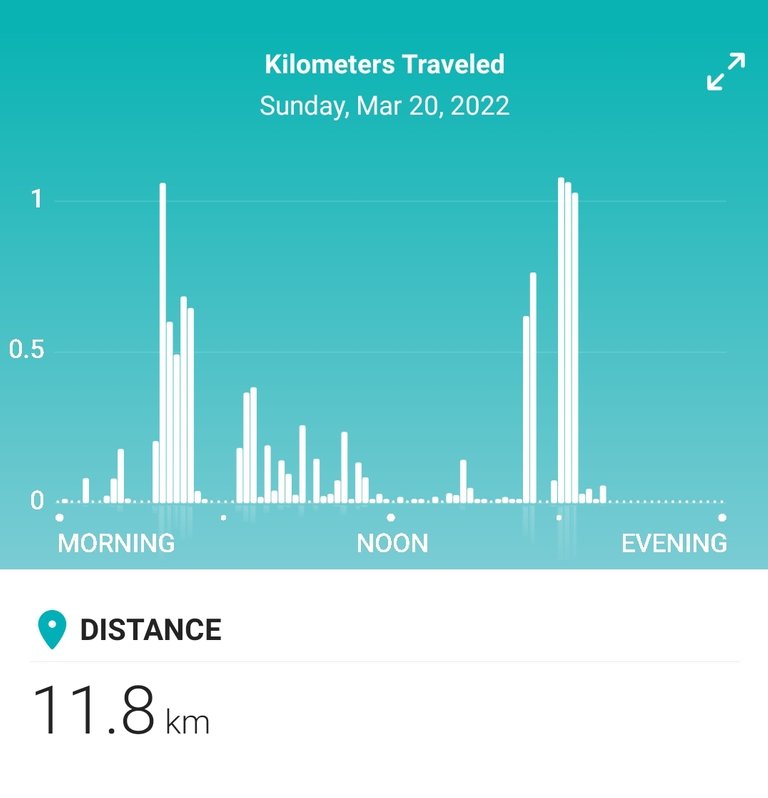 Screenshot_20220321-160140_Fitbit.jpg