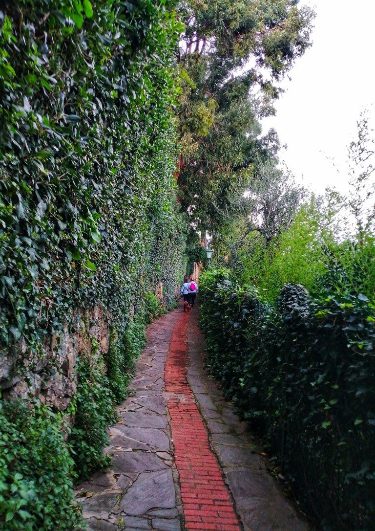 Path to Lighthouse