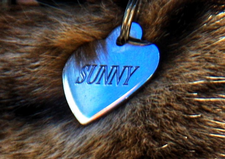 Sunny's pendant |🇮🇹 Il ciondolo di Sunny 