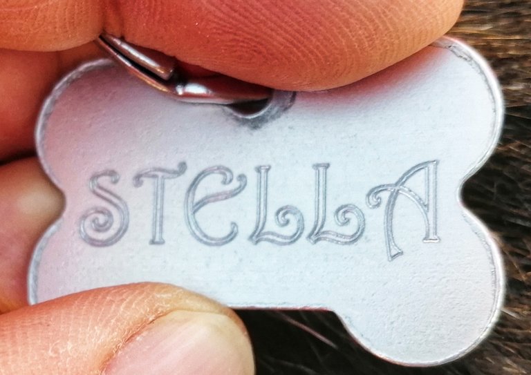 Stella's Pendant