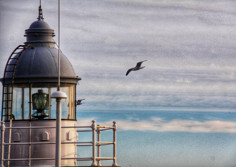 Seagull and lighthouse...