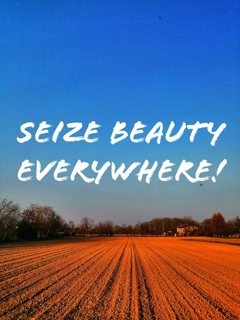 Seize Beauty Everywhere