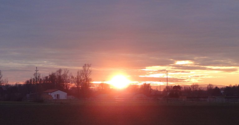 Tonight's sunset... between one split wood and another.