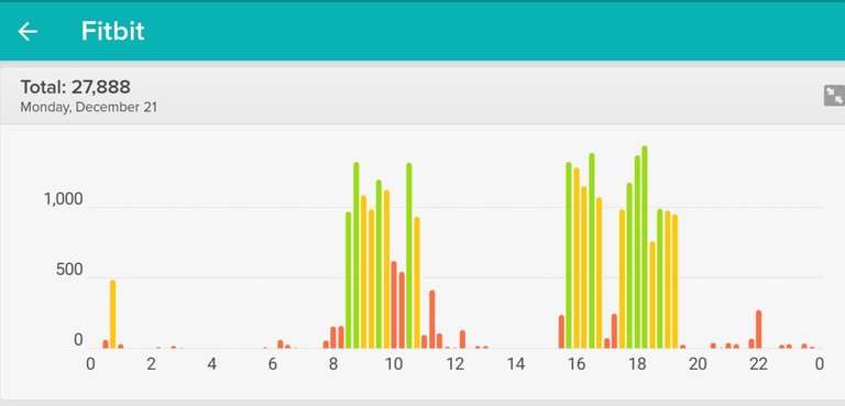 Fitbit - Proof of WIN