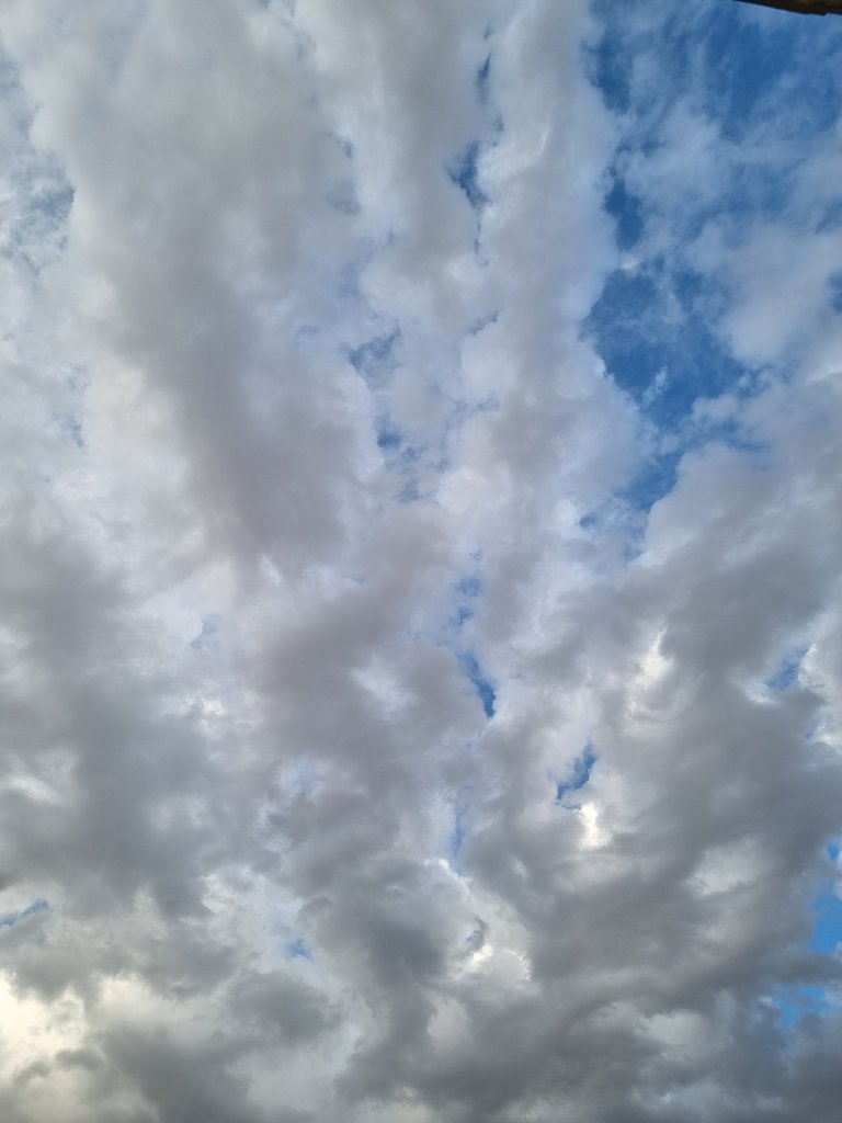 1000062763.jpg