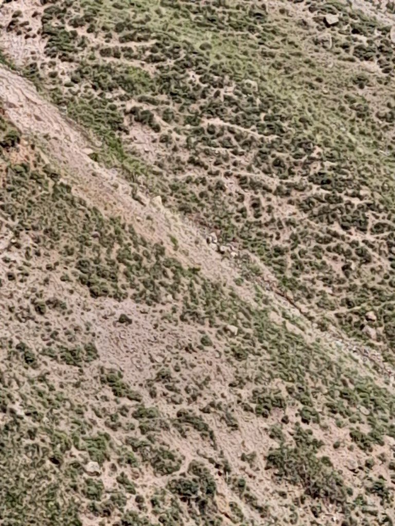 1000063394.jpg