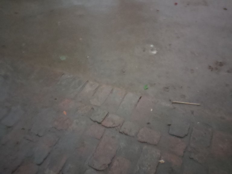 1000087263.jpg