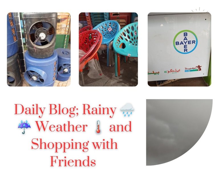 Daily Blog; Rainy 🌧️ ☔ Weather 🌡️ and Shopping with Friends 