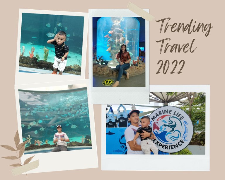 Begie Minimalist Trending Travel 2022 Photo Collage.jpg