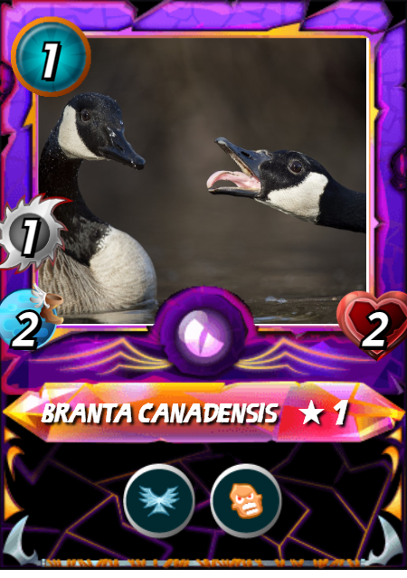 Branta canadensis.png