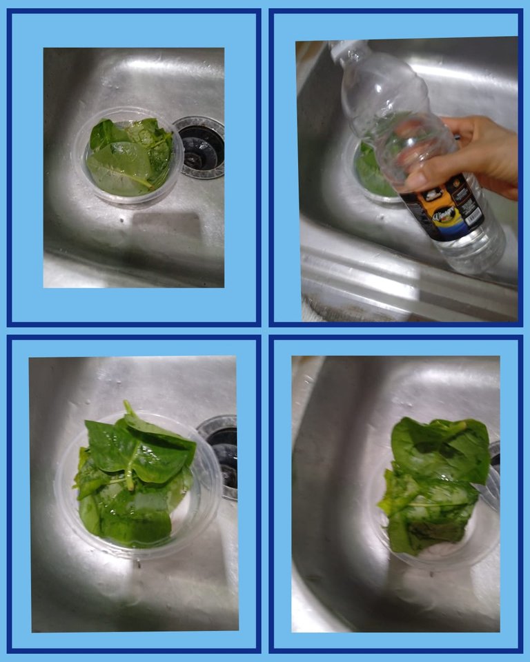 d457ab32-fe99-4acc-93e3-2d65c5015ab2.jpg