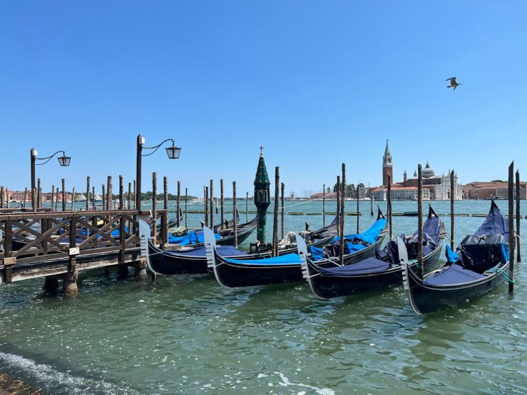 water-Venice.heic.jpg