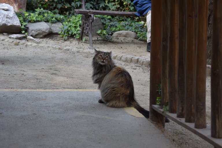 DSC_01226.JPG