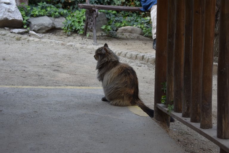 DSC_01225.JPG