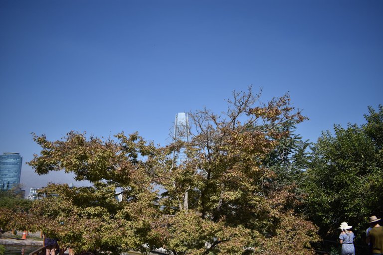 DSC_0254.JPG