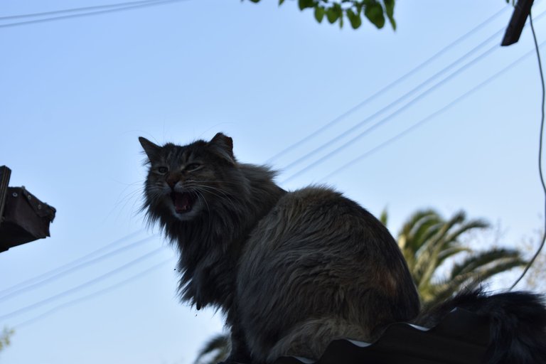 DSC_01229.JPG