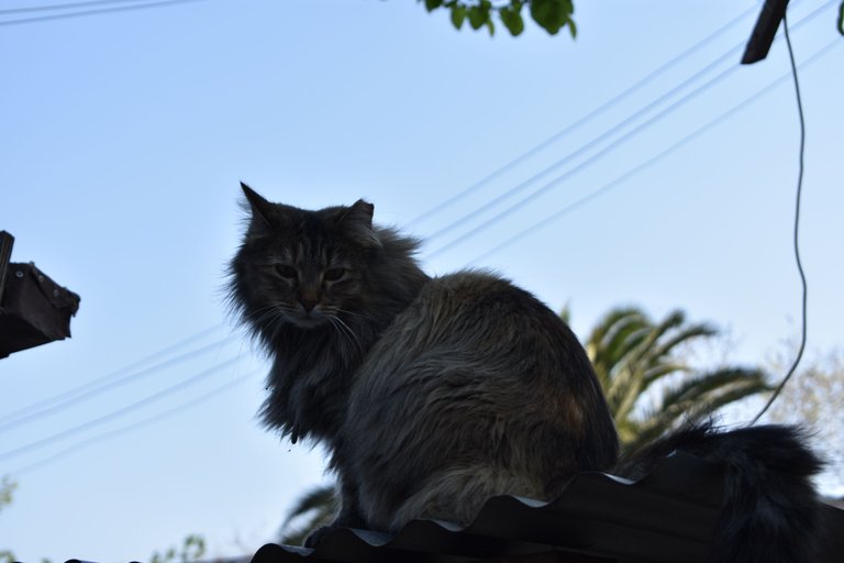 DSC_01228.JPG