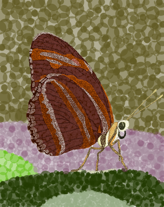 mariposa.png