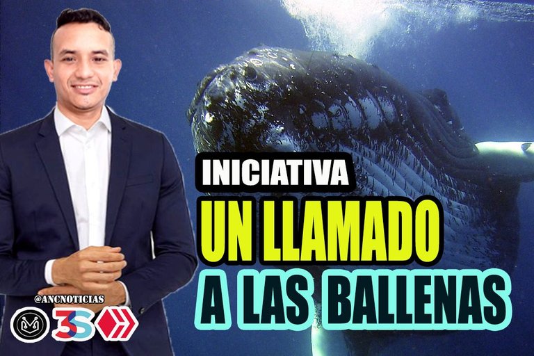 BALLENAS.jpg