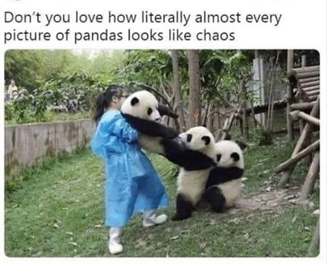 1000002621.jpg