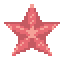 Sea star icon.png