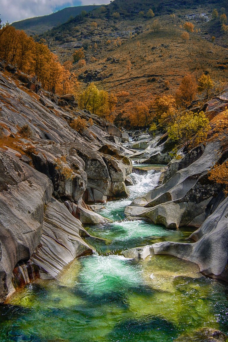 Gorge autumn trees.jpg