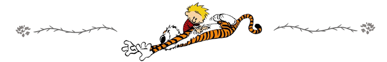 Calvin Hobbes Divider.png