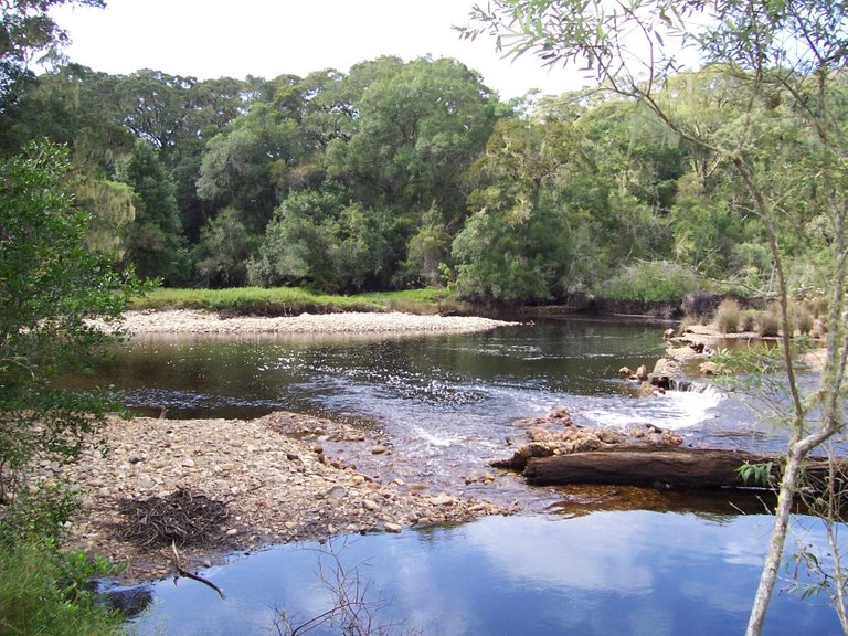 Groot Brak Rivier1.4.jpg