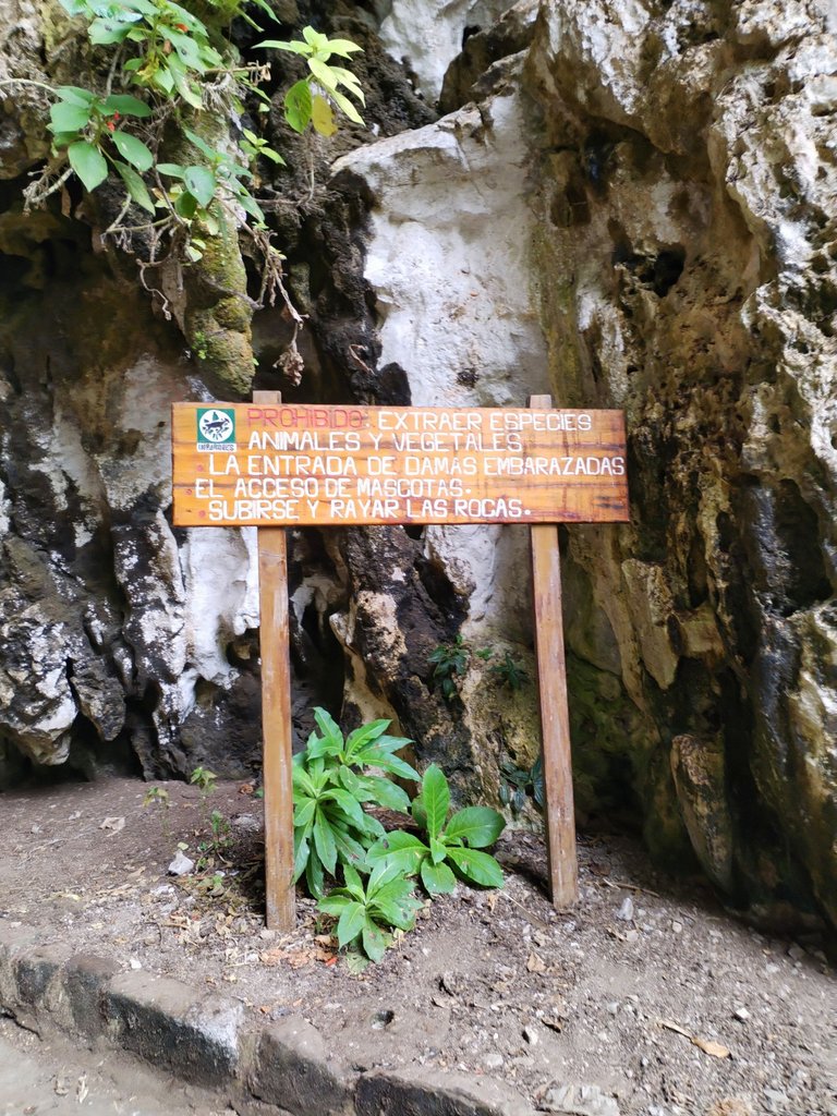 IMG_20250417_110809.jpg
