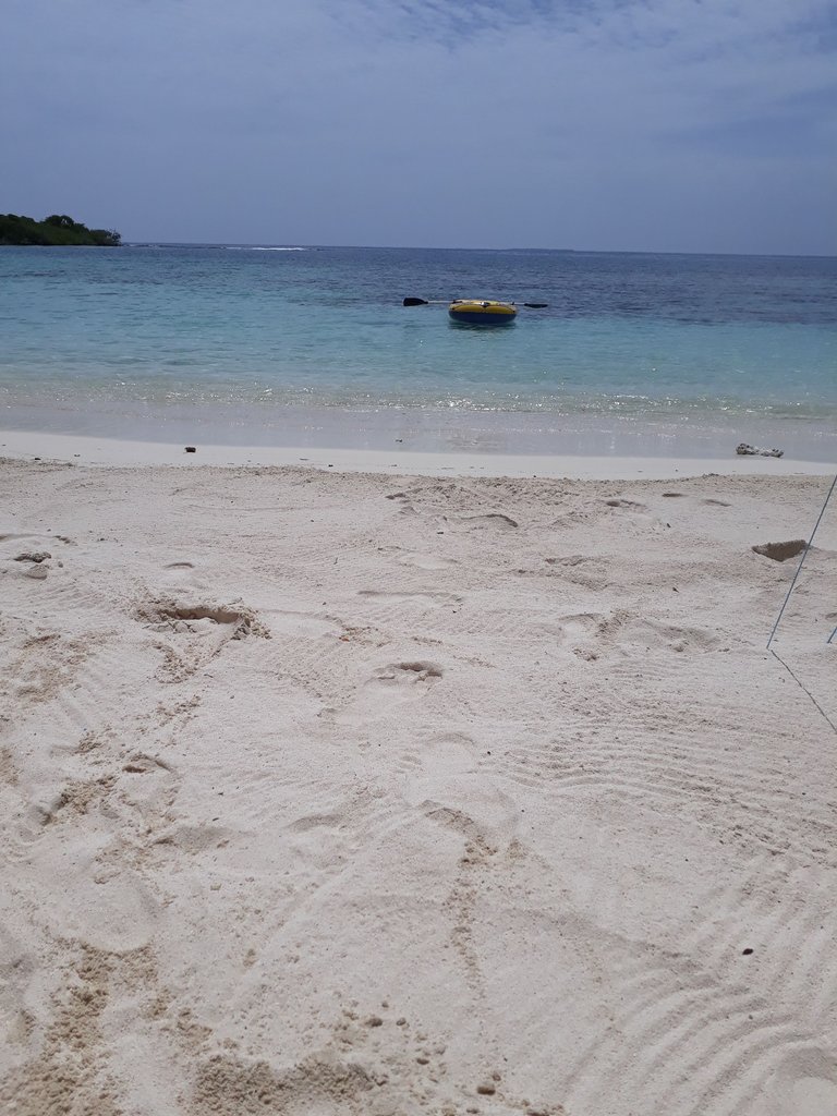 20180927_112203.jpg